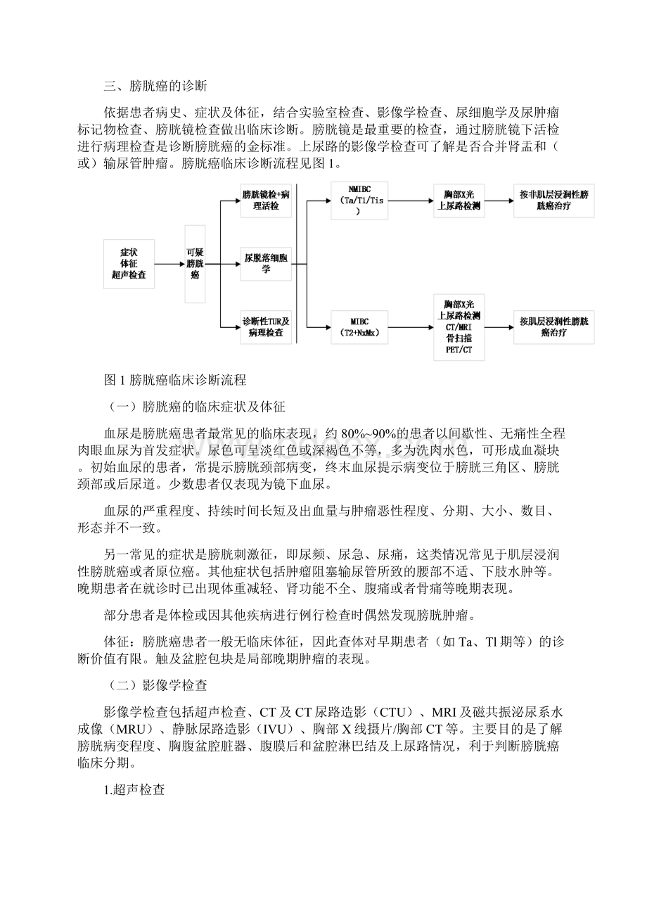 膀胱癌诊疗规范版doc.docx_第2页