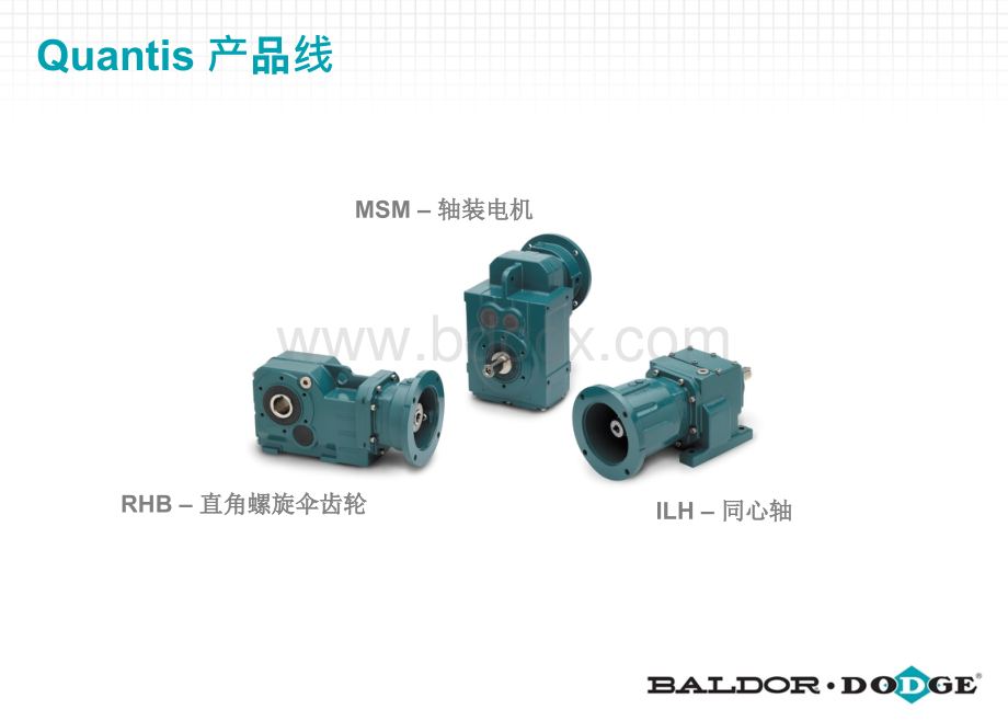 葆德Dodge减速机产品选型2012-CNPPT资料.pptx_第3页