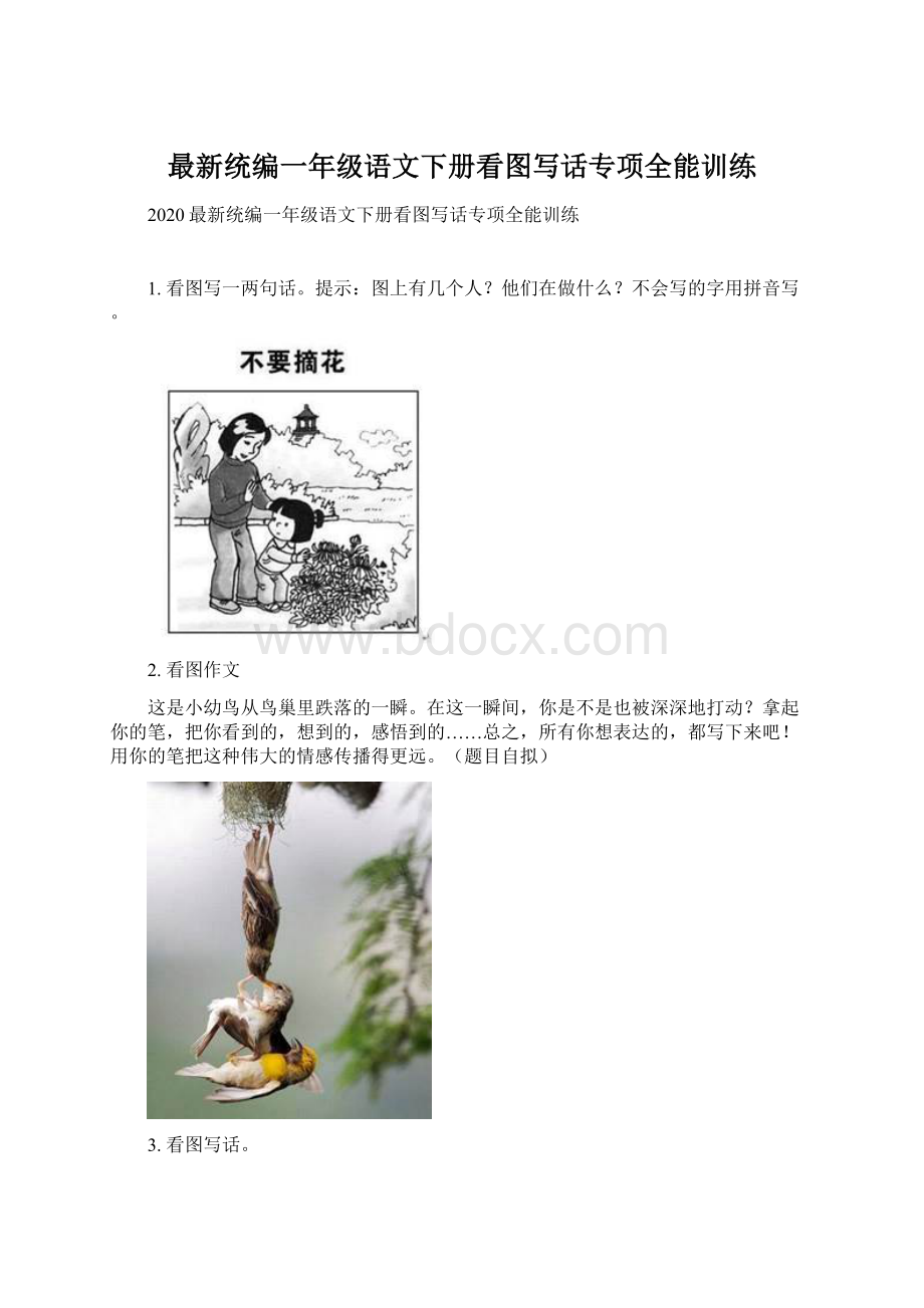 最新统编一年级语文下册看图写话专项全能训练Word文档格式.docx