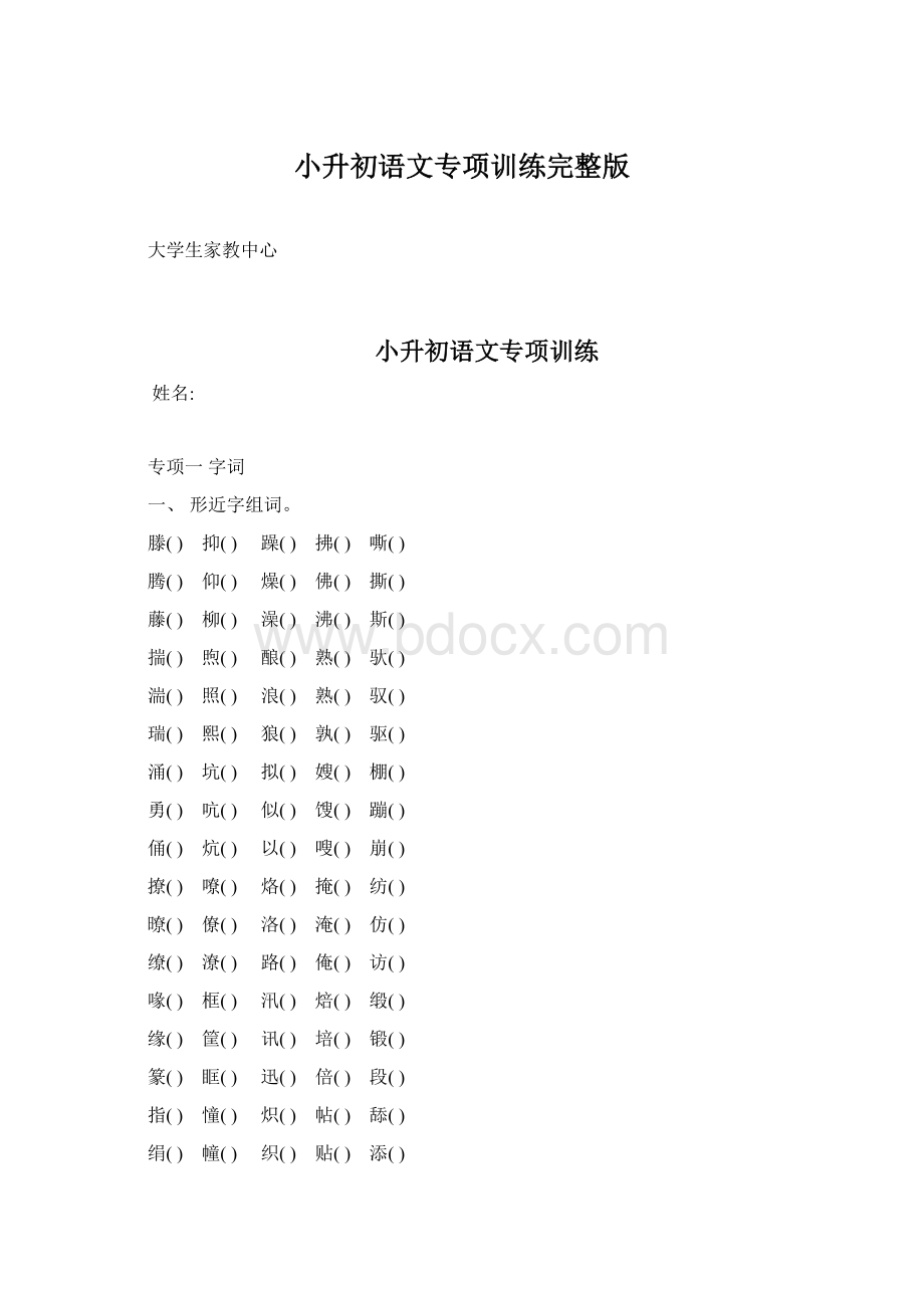 小升初语文专项训练完整版Word下载.docx