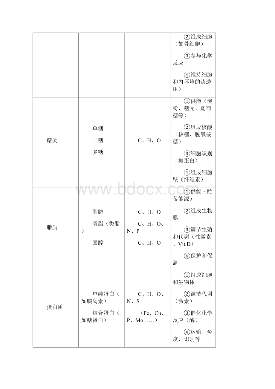 高中生物知识结构网络图完整版资料Word文件下载.docx_第2页