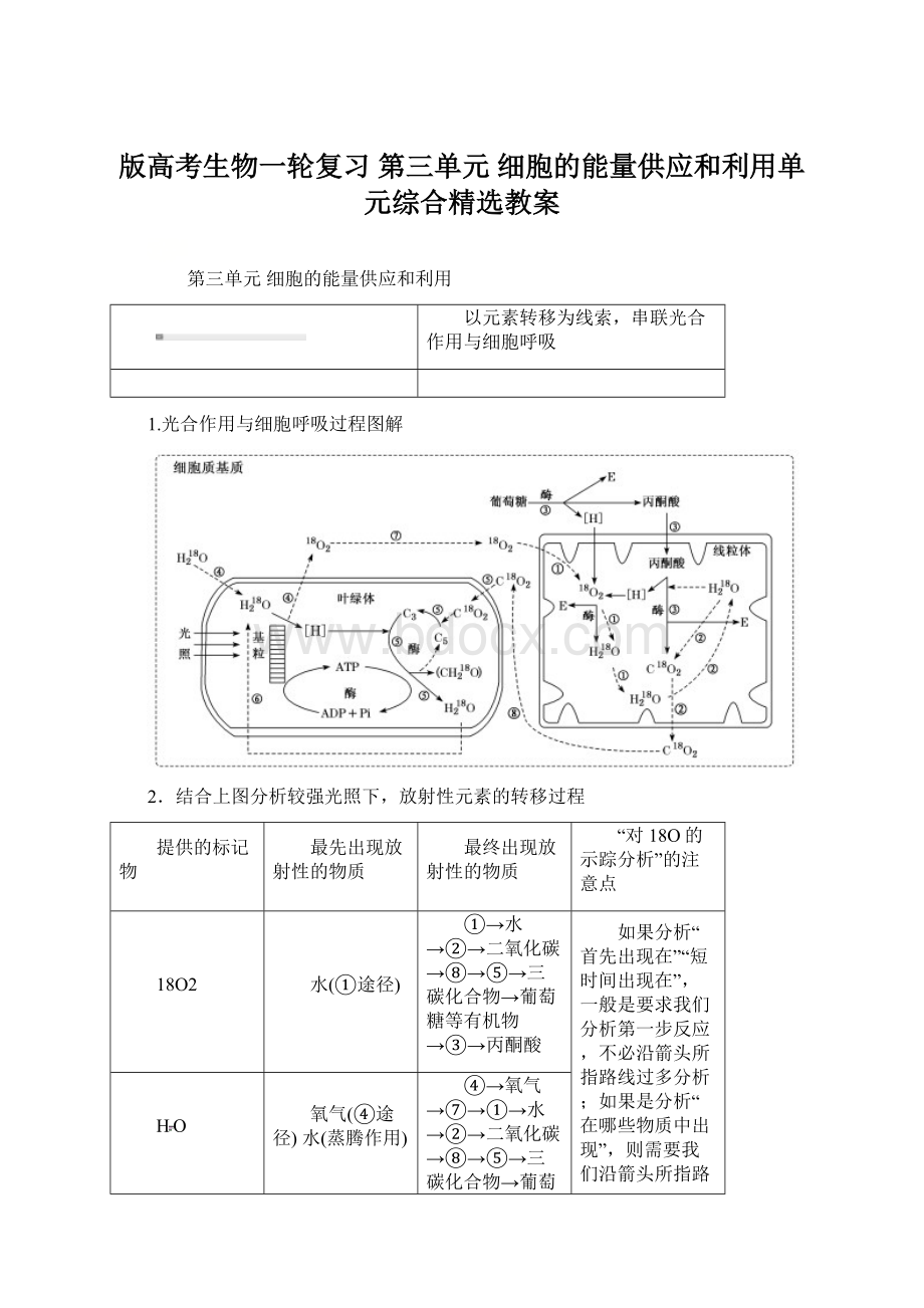 版高考生物一轮复习 第三单元 细胞的能量供应和利用单元综合精选教案Word文档下载推荐.docx