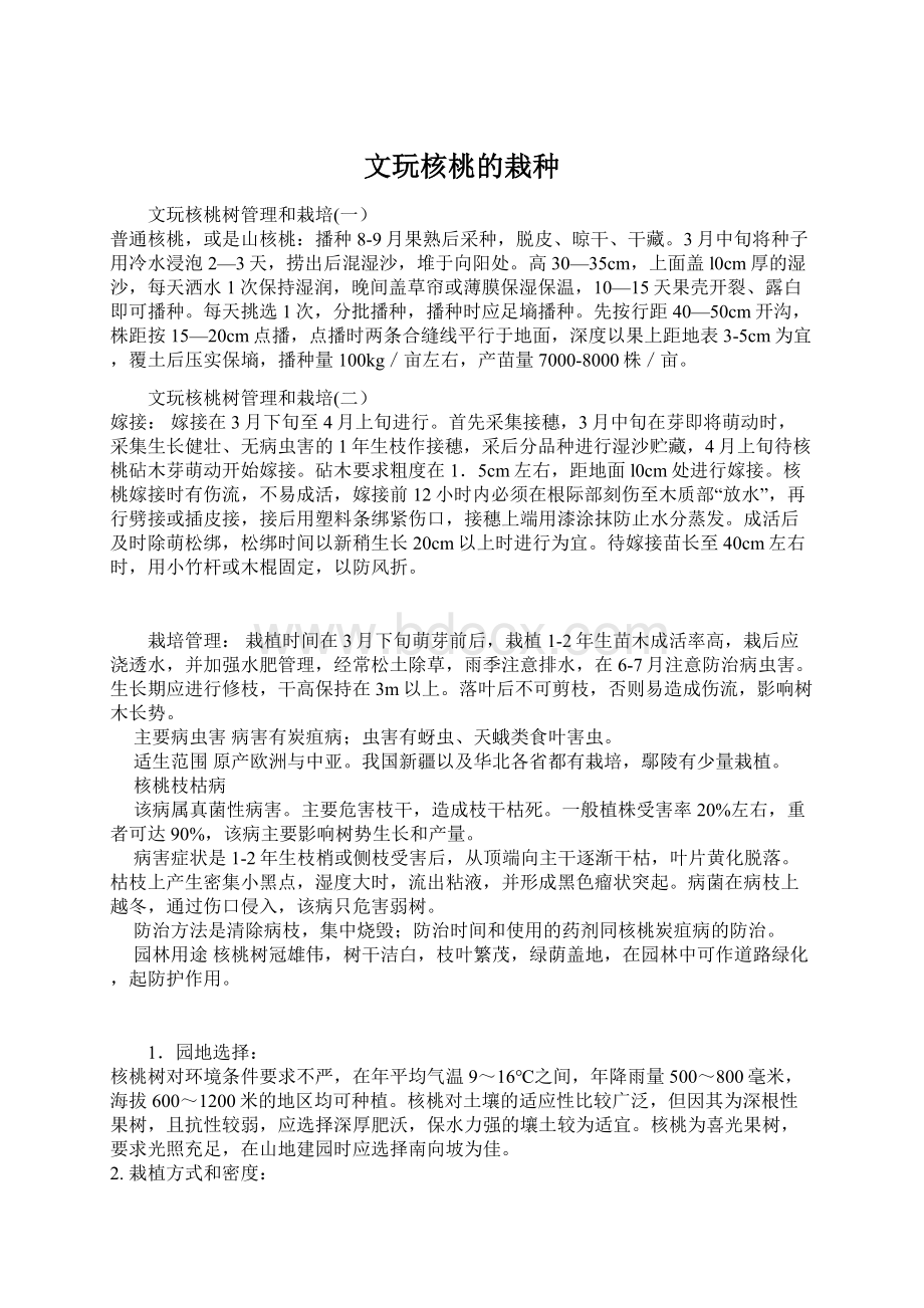 文玩核桃的栽种.docx_第1页