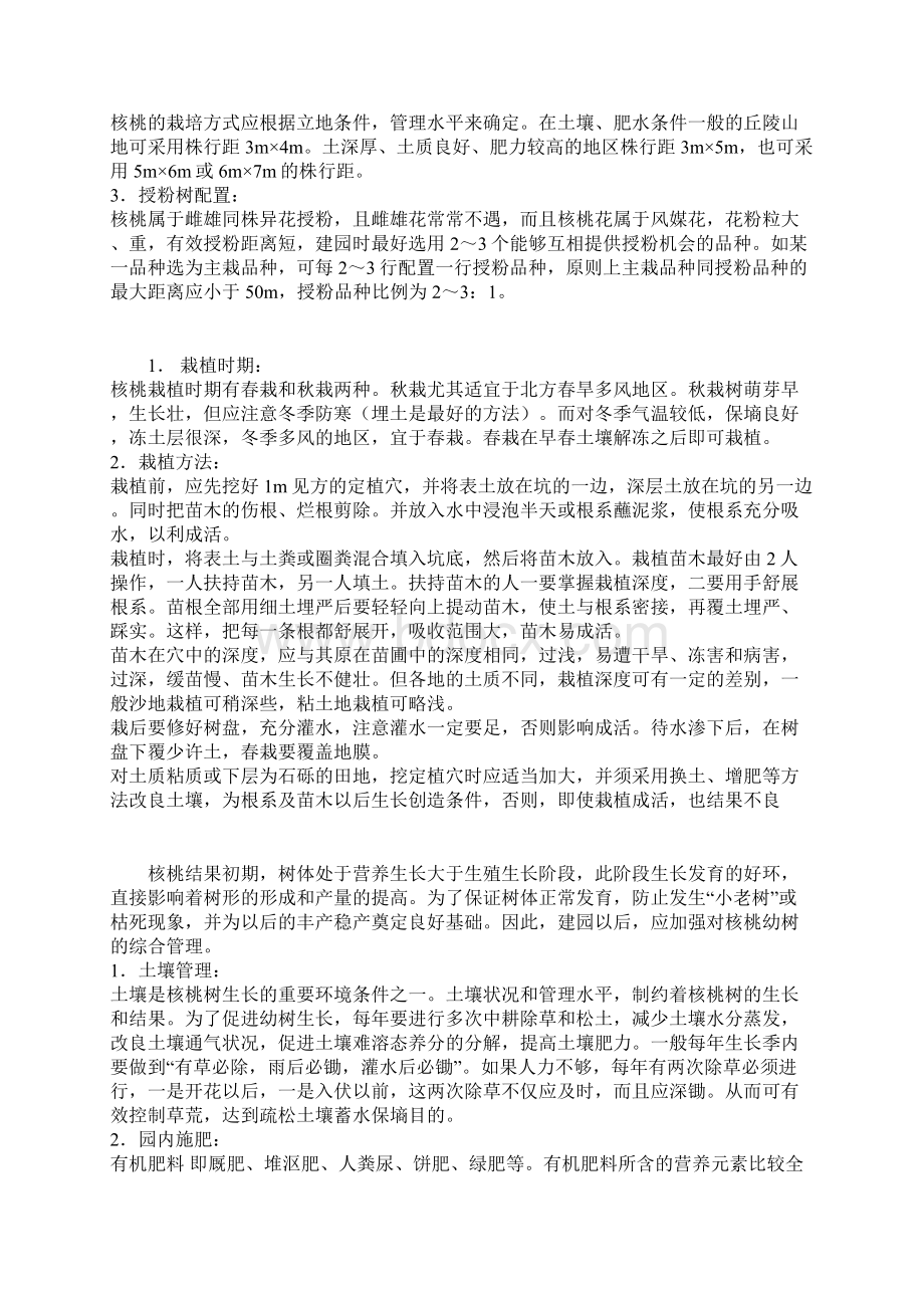 文玩核桃的栽种.docx_第2页