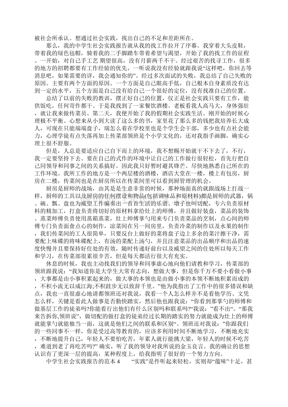 中学生社会实践报告的范本Word文档格式.docx_第3页