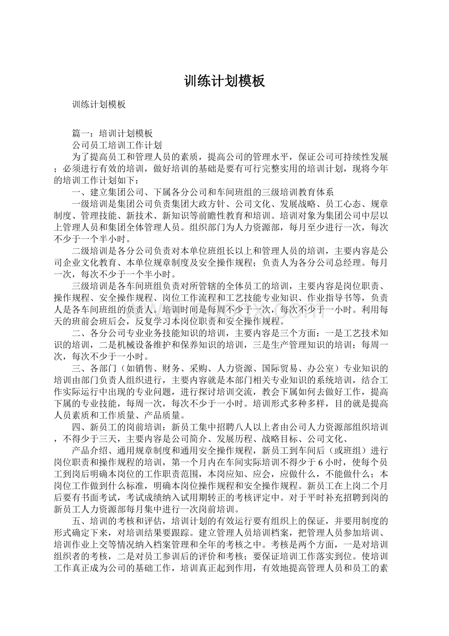 训练计划模板Word格式文档下载.docx