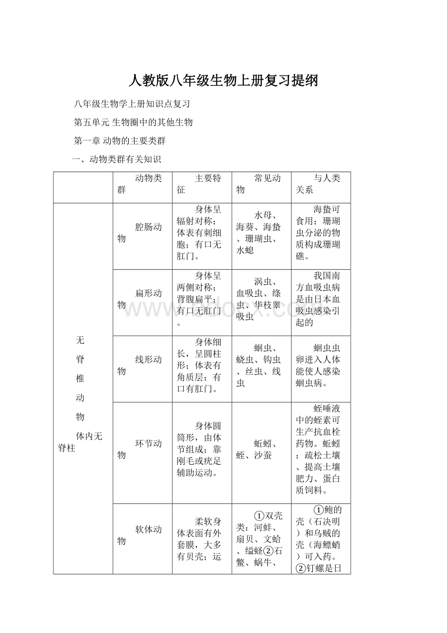 人教版八年级生物上册复习提纲Word文档下载推荐.docx