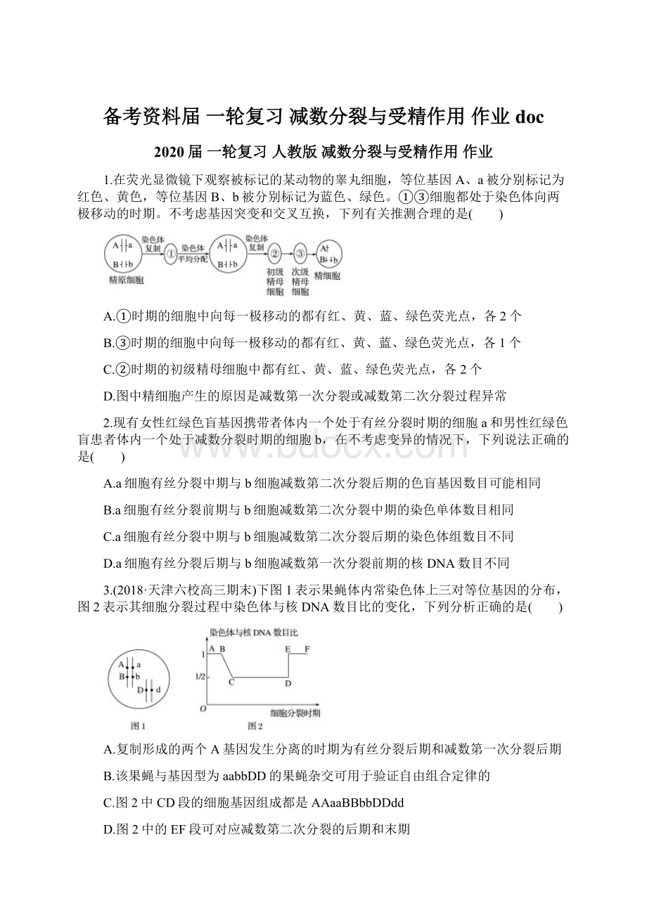 备考资料届 一轮复习减数分裂与受精作用 作业doc.docx_第1页