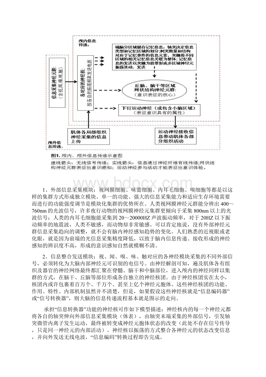 大脑智慧源自于神经元模块化集群功能DOC.docx_第2页