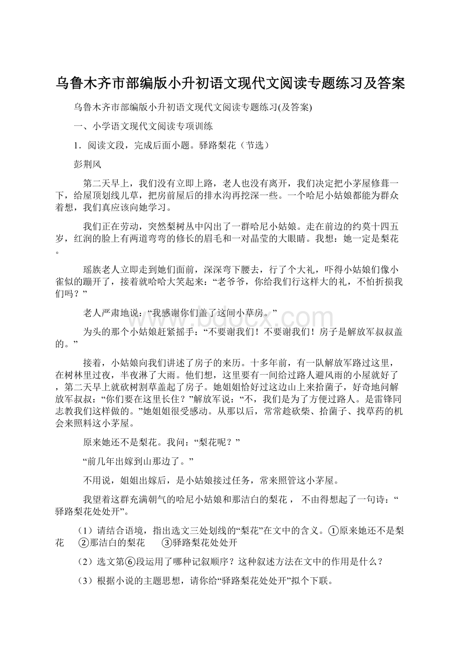 乌鲁木齐市部编版小升初语文现代文阅读专题练习及答案.docx