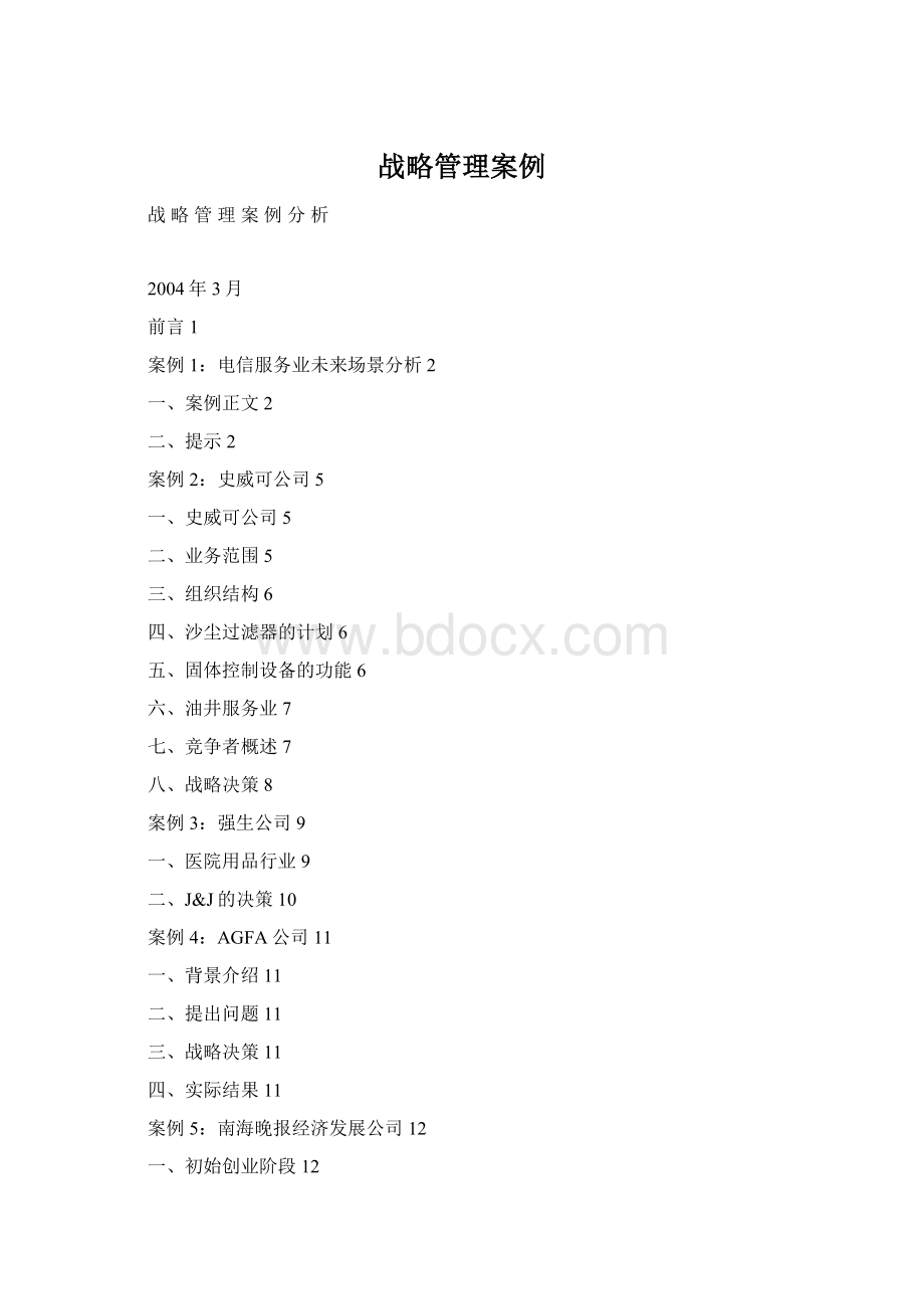 战略管理案例文档格式.docx