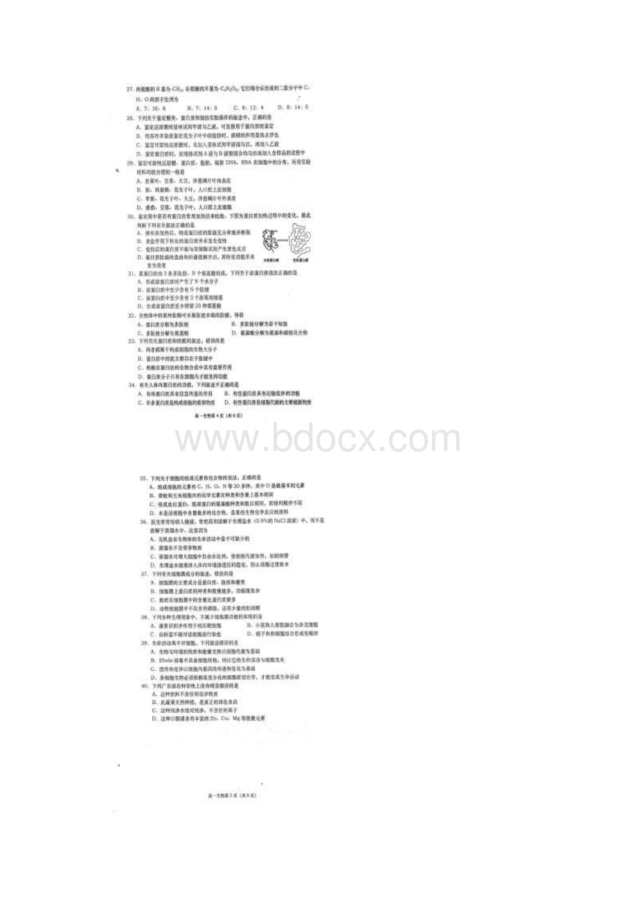 山东省胶州市普通高中学年高一上学期期中考.docx_第3页