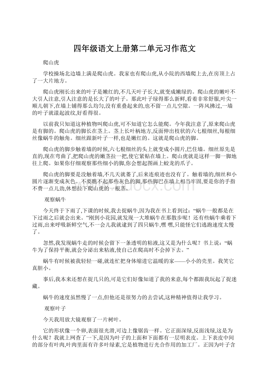 四年级语文上册第二单元习作范文Word格式.docx