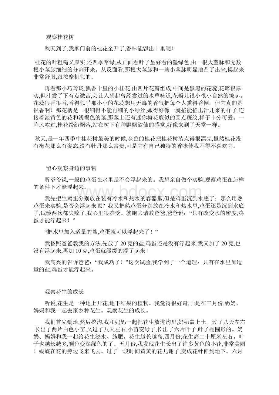 四年级语文上册第二单元习作范文.docx_第3页