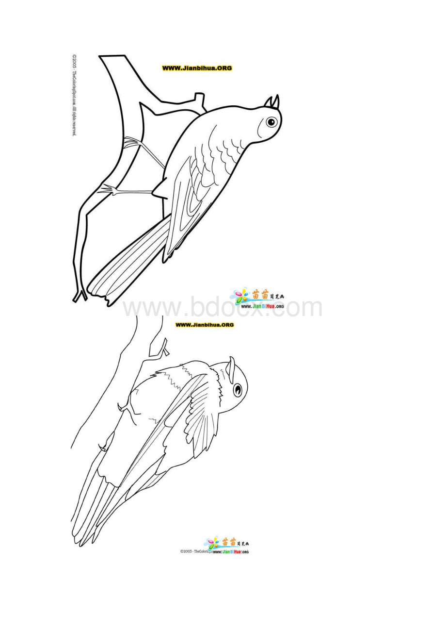 鸟类简笔画Word格式.docx_第2页