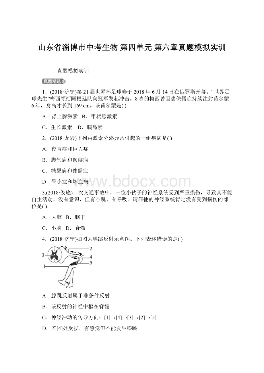 山东省淄博市中考生物 第四单元 第六章真题模拟实训文档格式.docx