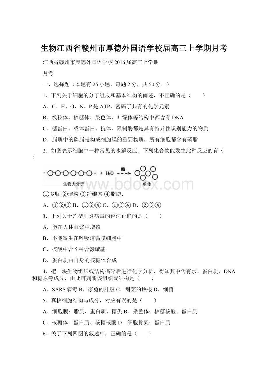 生物江西省赣州市厚德外国语学校届高三上学期月考.docx_第1页