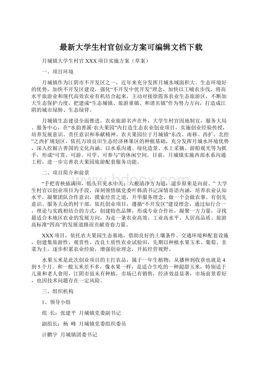 最新大学生村官创业方案可编辑文档下载Word格式文档下载.docx