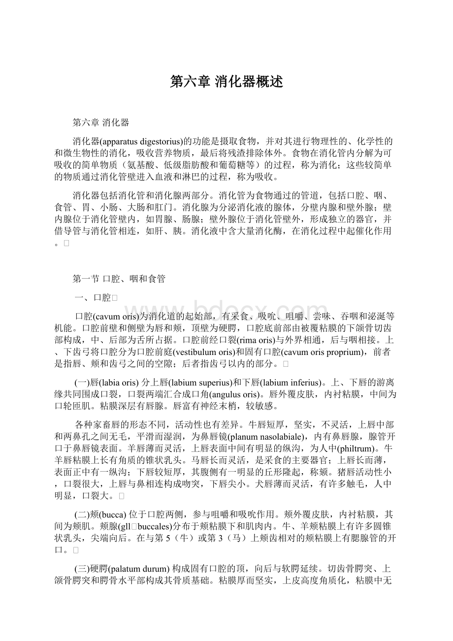 第六章 消化器概述.docx_第1页