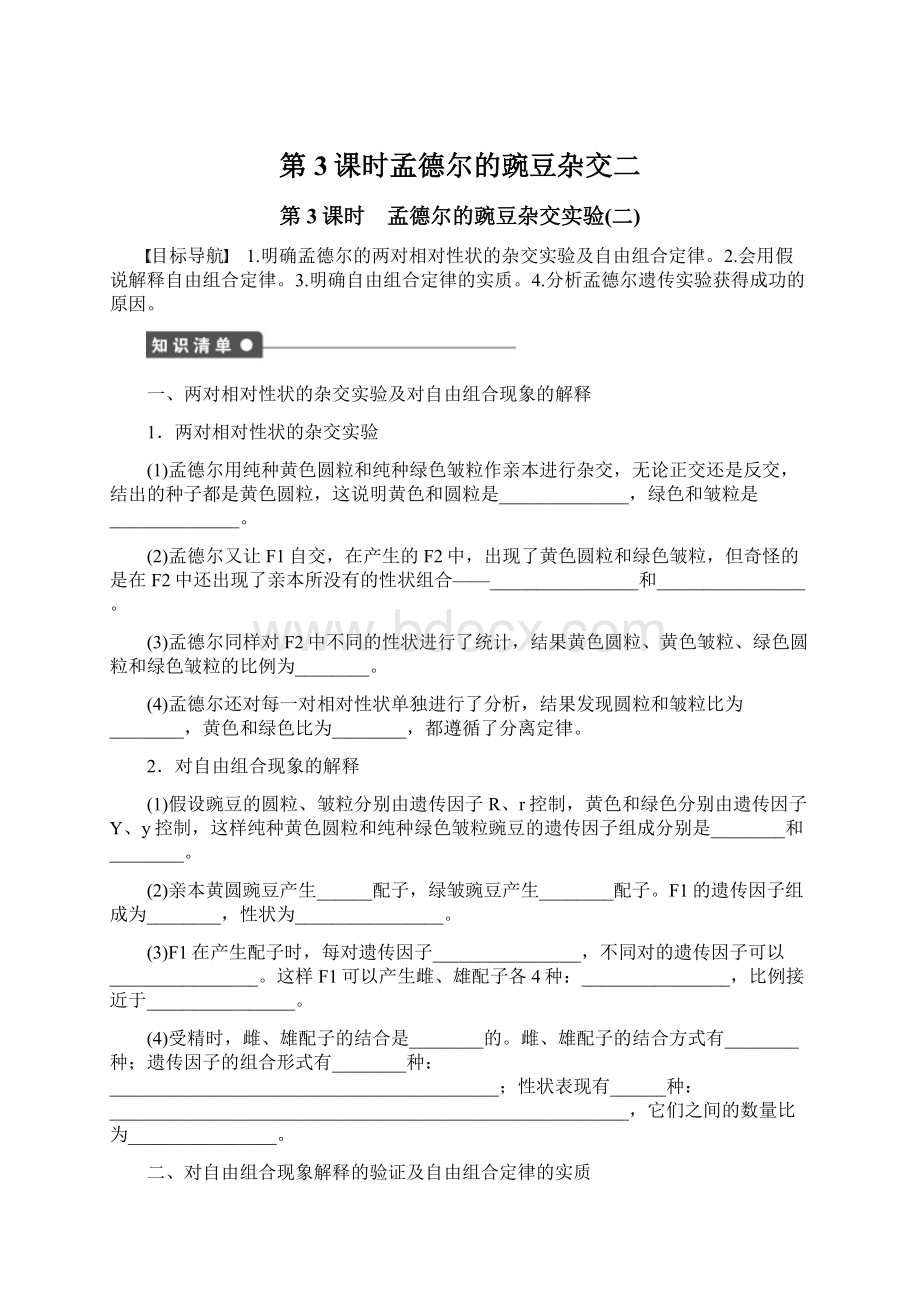 第3课时孟德尔的豌豆杂交二Word文件下载.docx_第1页