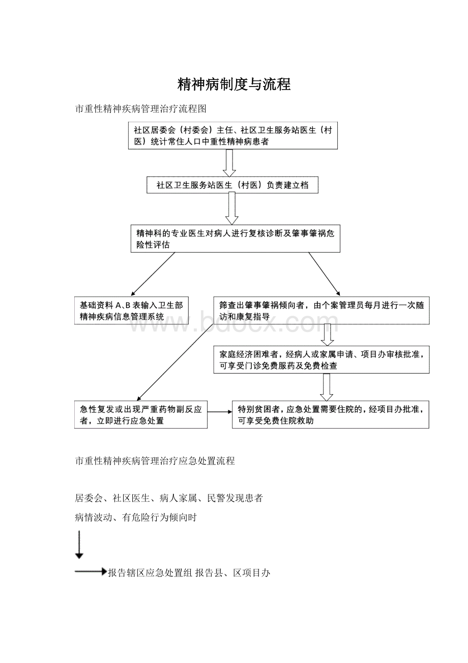 精神病制度与流程.docx