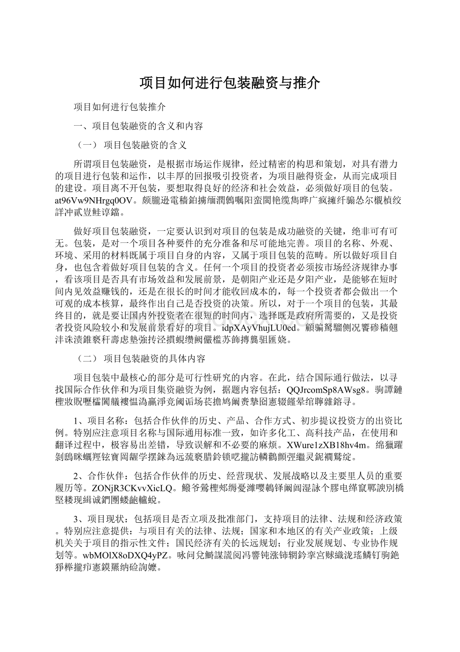 项目如何进行包装融资与推介Word格式文档下载.docx