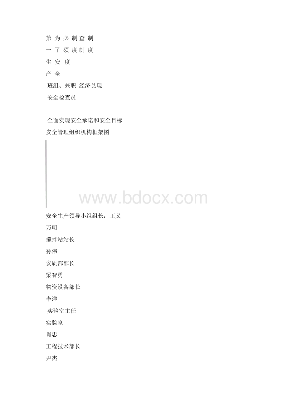 安全管理体系.docx_第3页