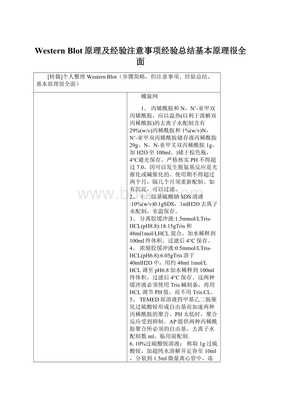 Western Blot原理及经验注意事项经验总结基本原理很全面Word下载.docx