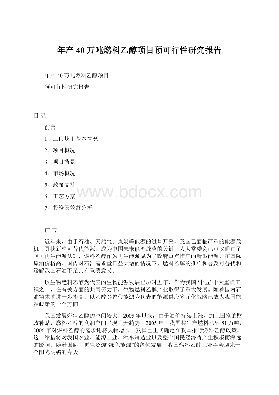 年产40万吨燃料乙醇项目预可行性研究报告.docx_第1页