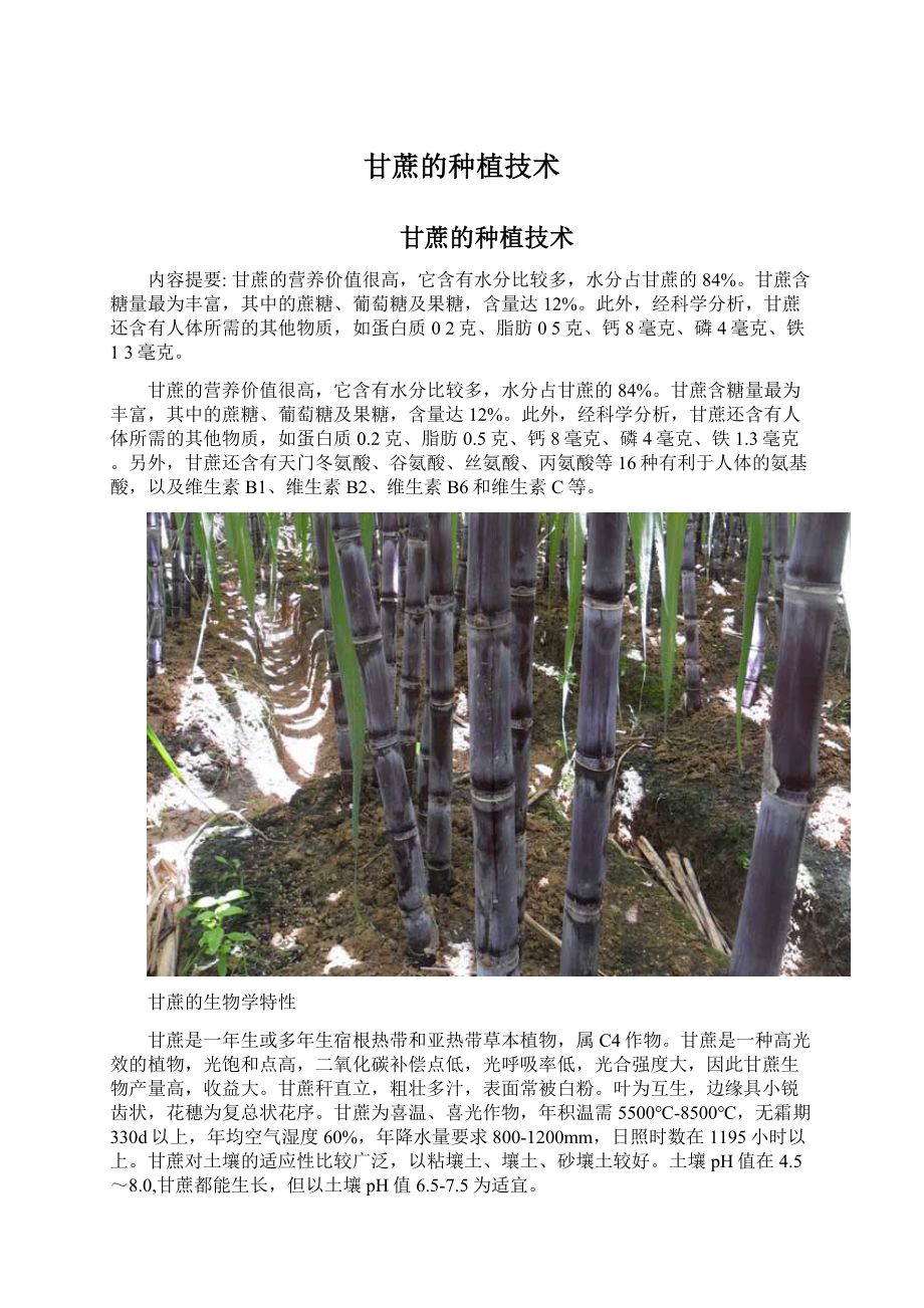 甘蔗的种植技术Word文档下载推荐.docx