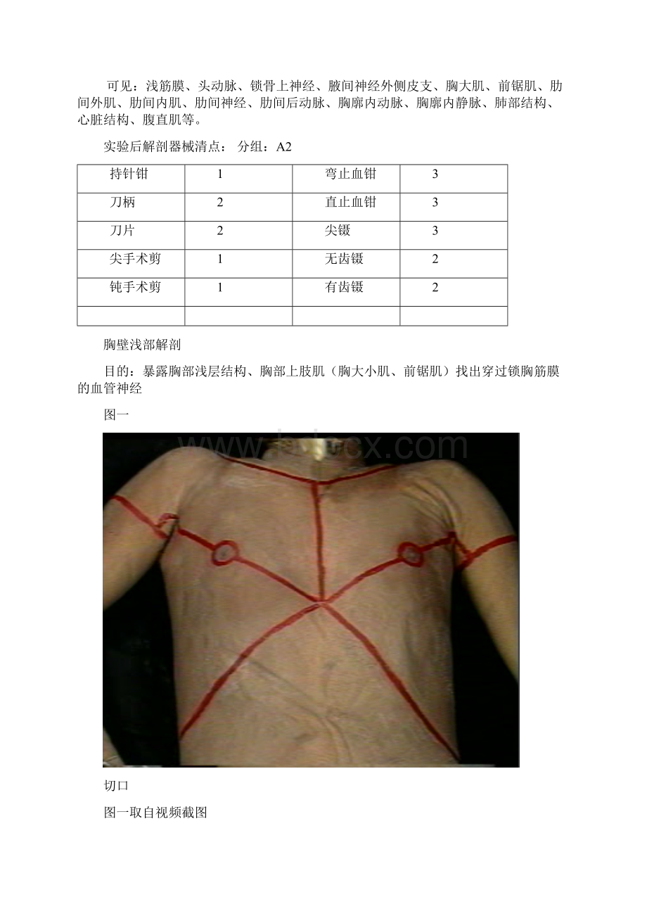 局解实习报告DOCWord文件下载.docx_第3页