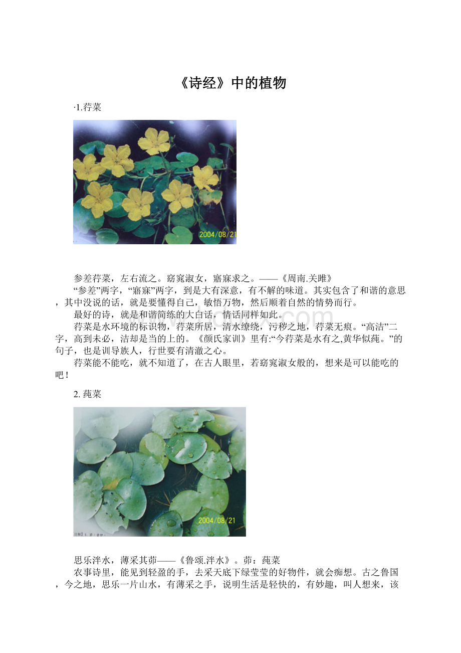 《诗经》中的植物Word格式.docx_第1页