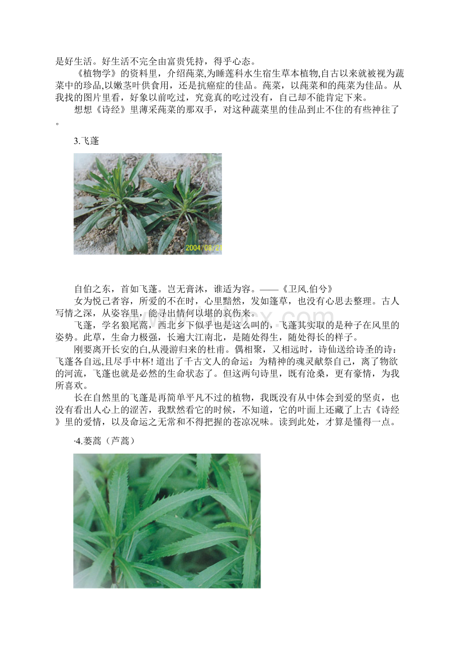 《诗经》中的植物Word格式.docx_第2页