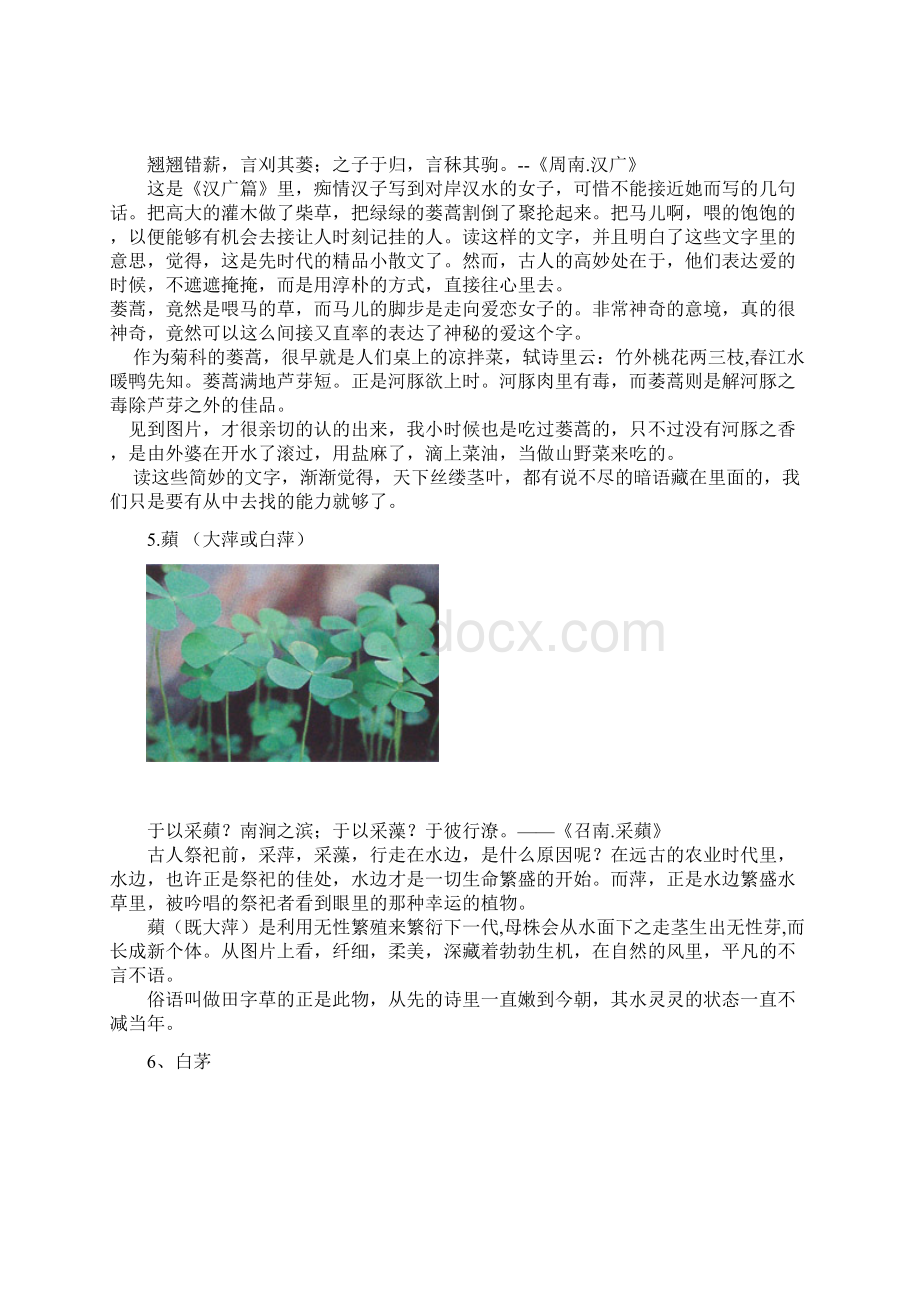 《诗经》中的植物Word格式.docx_第3页