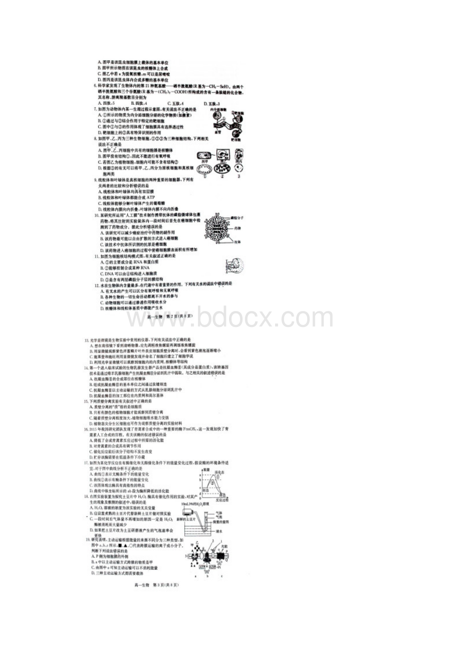 学年河北省辛集市高一上学期期末教学质量检测生物试题文档格式.docx_第2页