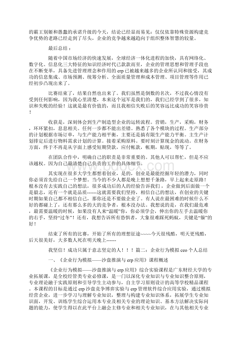 ceo个人总结报告.docx_第3页