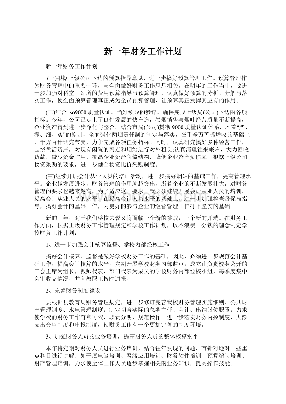 新一年财务工作计划Word格式文档下载.docx