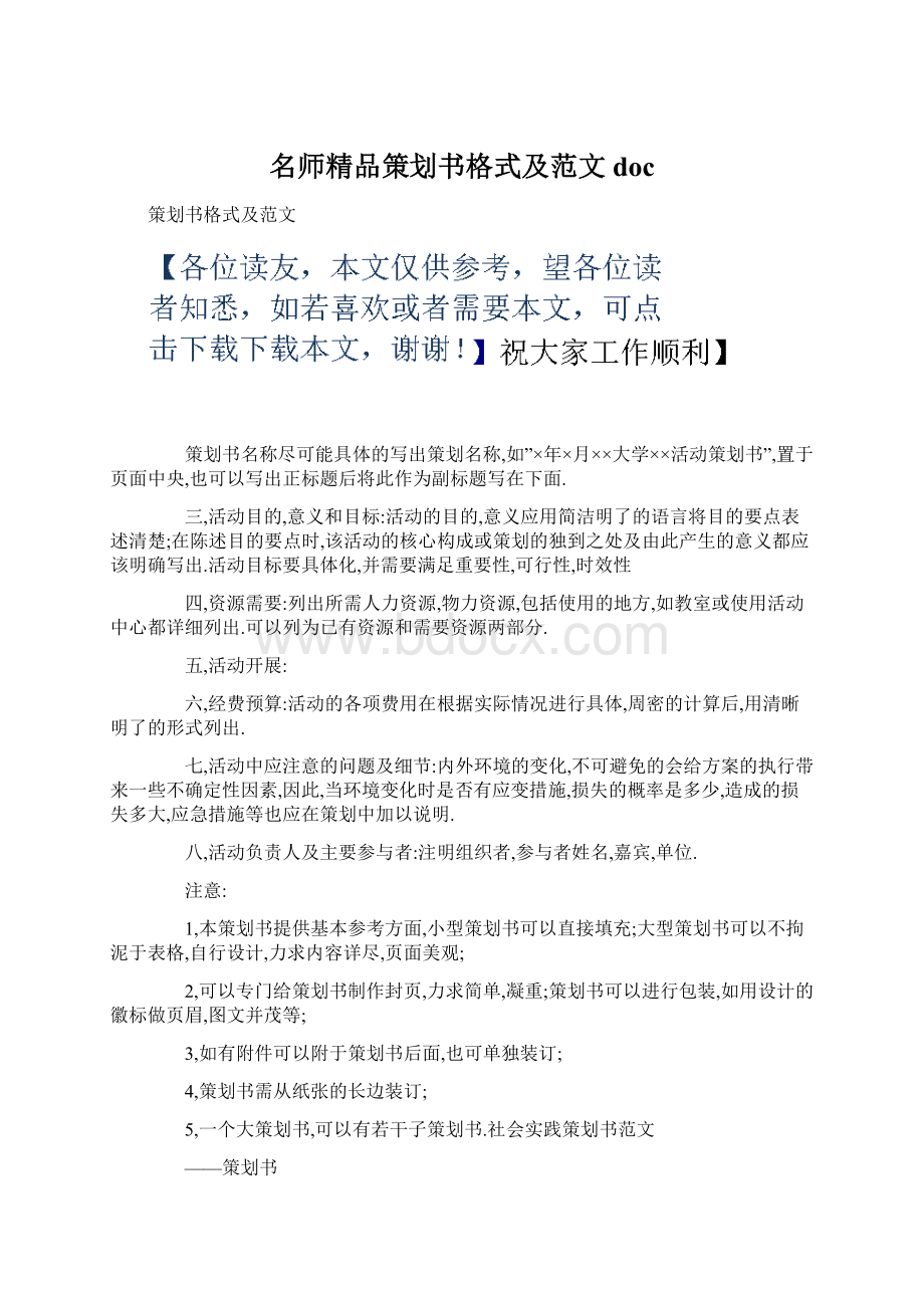 名师精品策划书格式及范文doc.docx