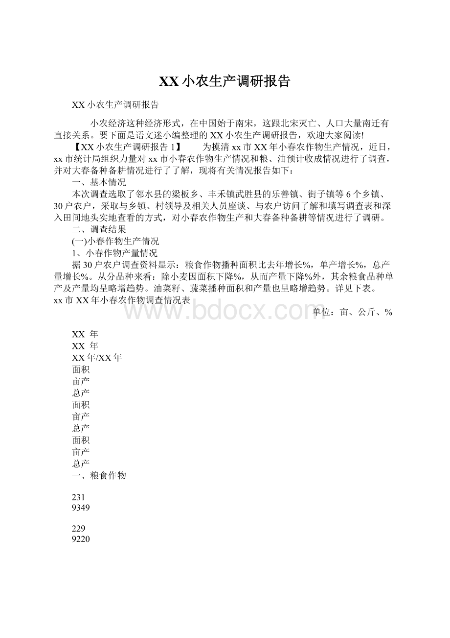 XX小农生产调研报告Word文档格式.docx_第1页