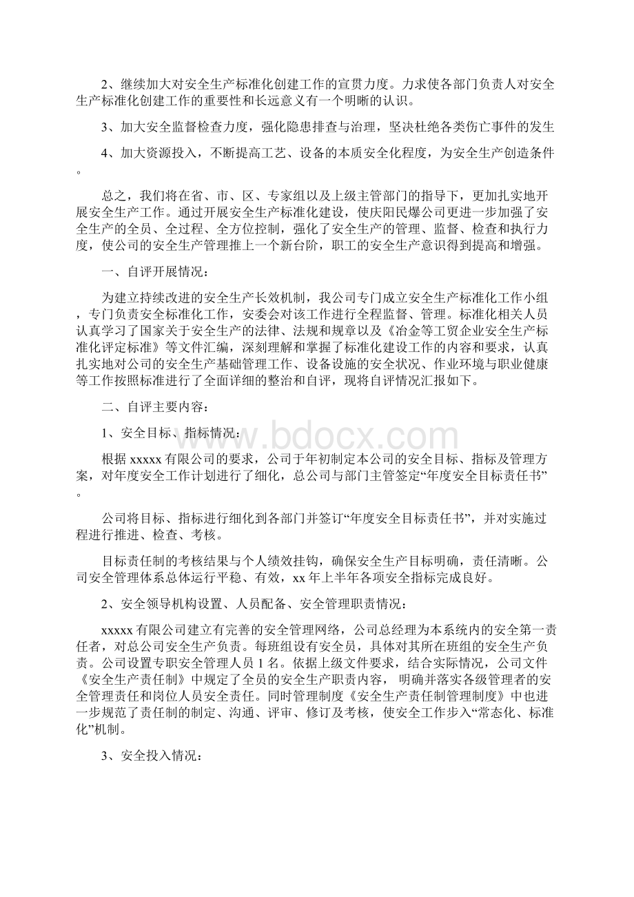 安全生产标准化自评报告Word格式文档下载.docx_第2页