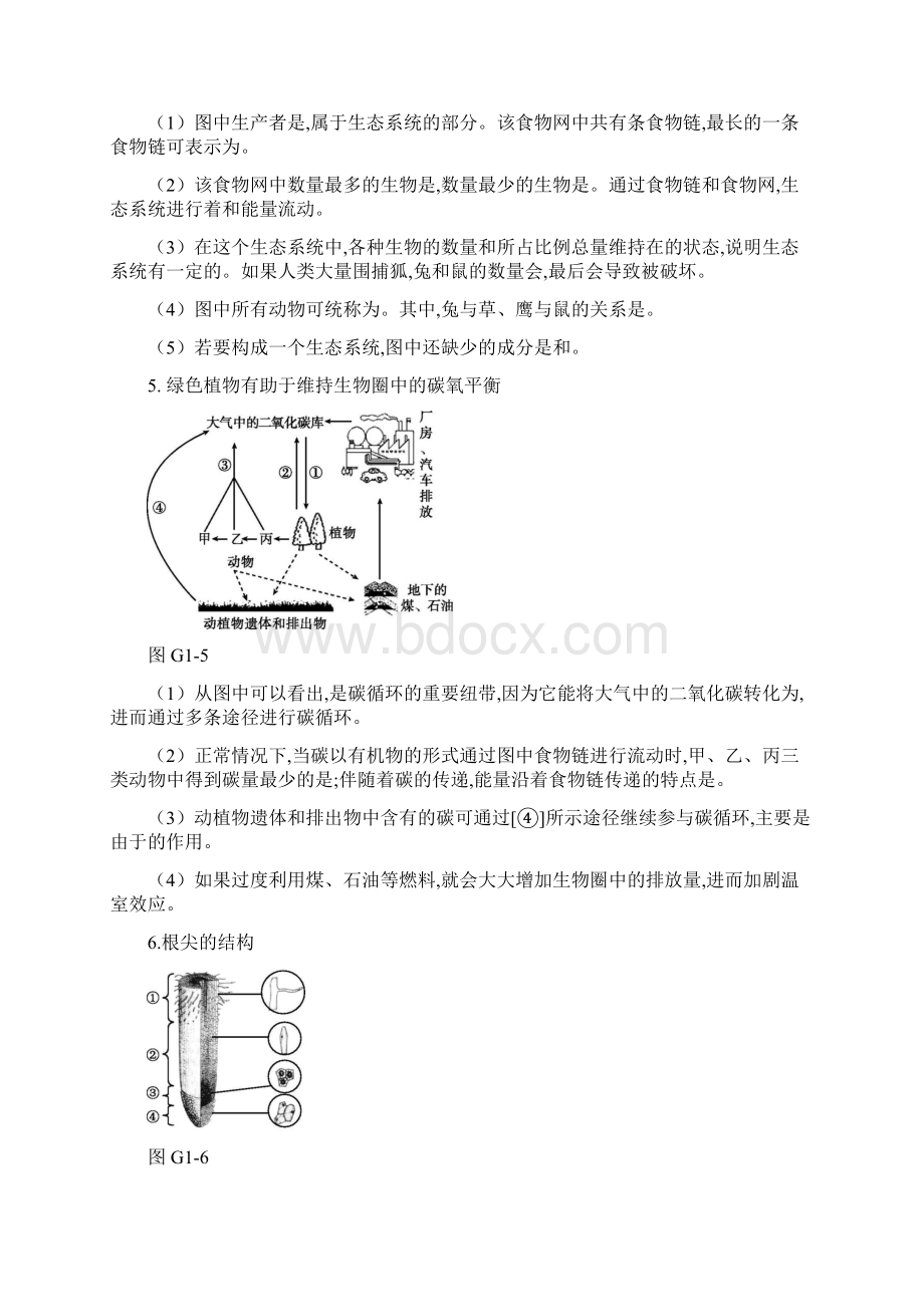 中考生物复习识图题精选新人教版Word下载.docx_第3页