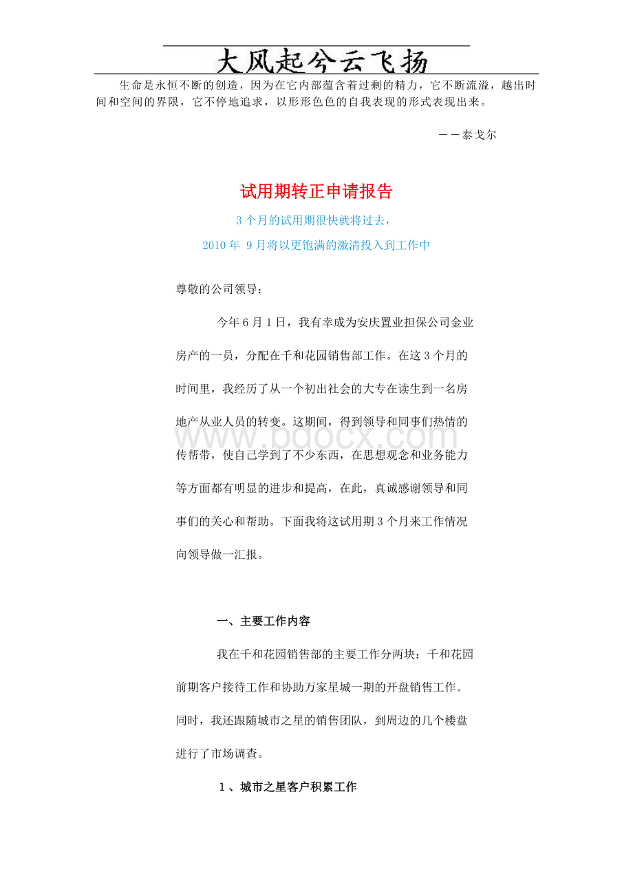 Vnidsg试用期转正申请报告Word下载.doc