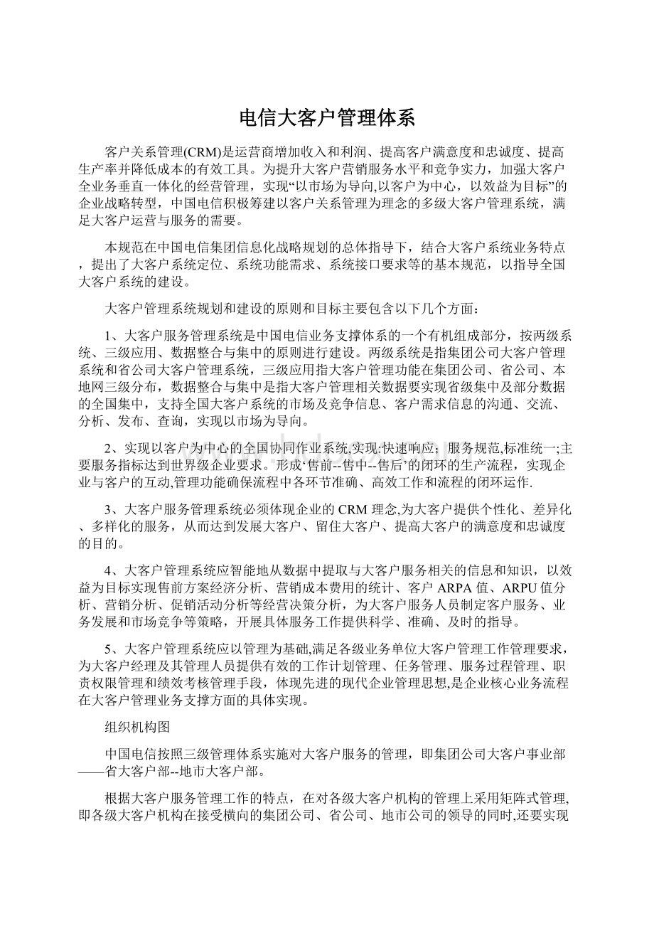 电信大客户管理体系文档格式.docx