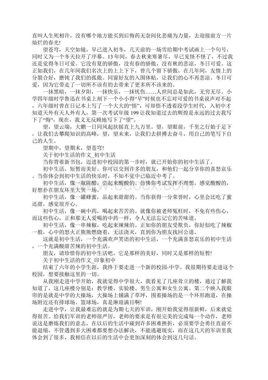 关于初中生活的作文Word文档格式.docx_第3页