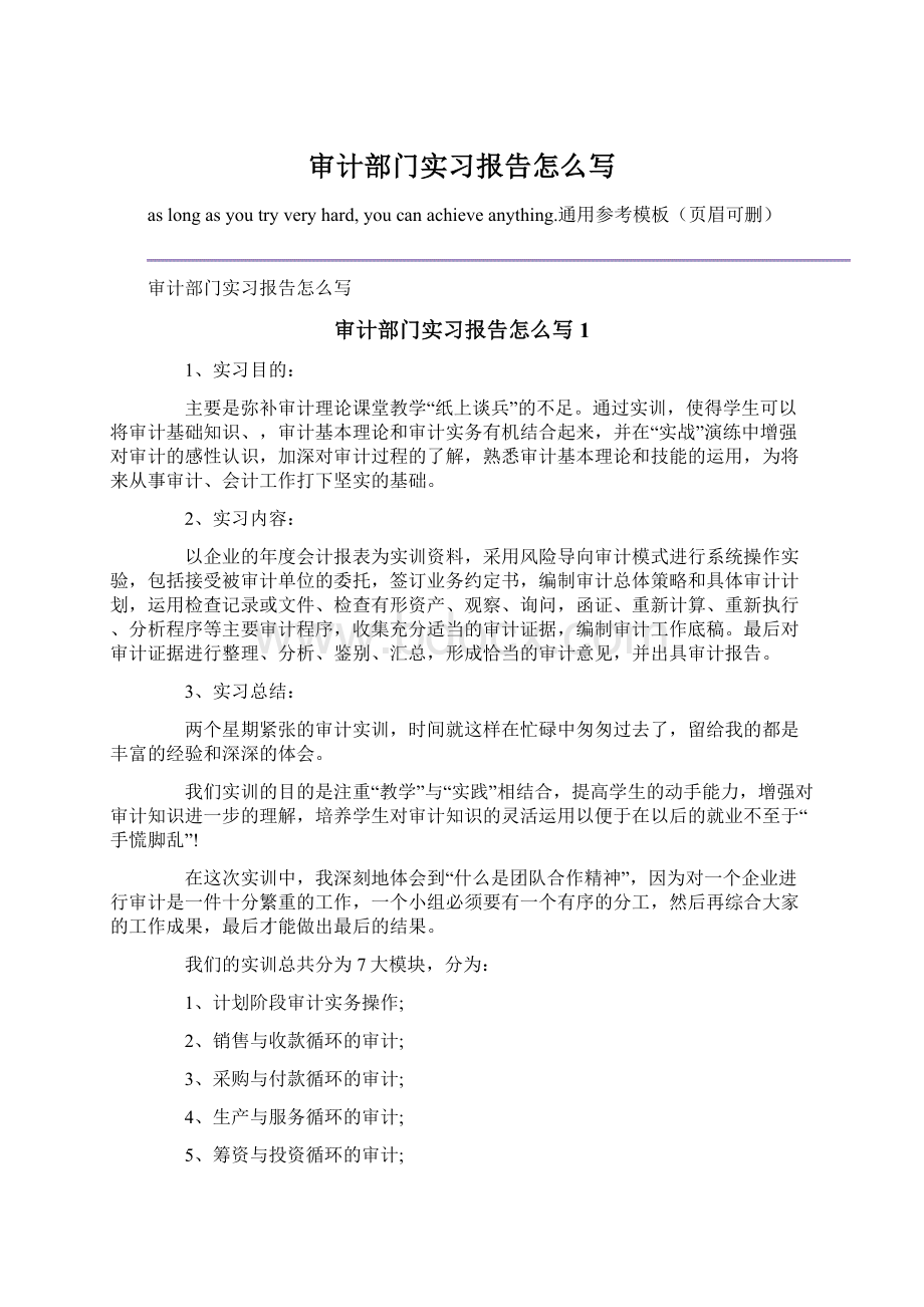 审计部门实习报告怎么写Word格式文档下载.docx