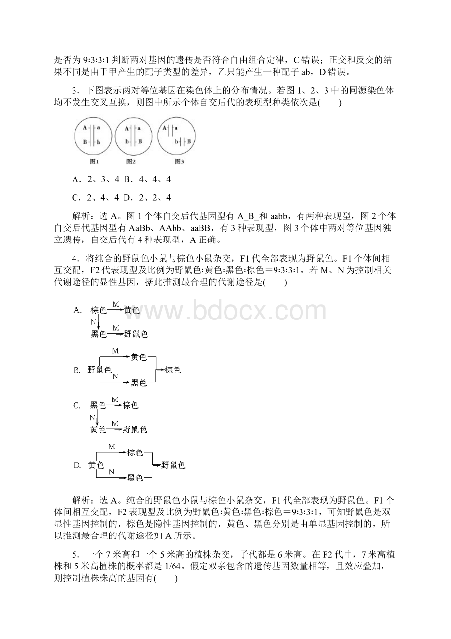 届二轮 基因的自由组合定律 专题卷全国通用.docx_第2页