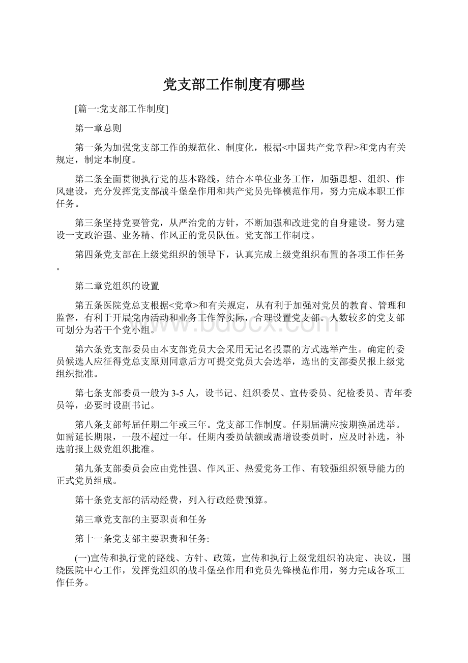 党支部工作制度有哪些Word文件下载.docx