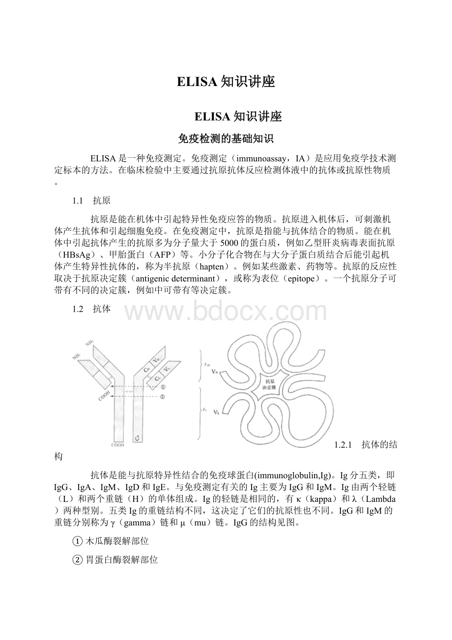 ELISA知识讲座Word下载.docx