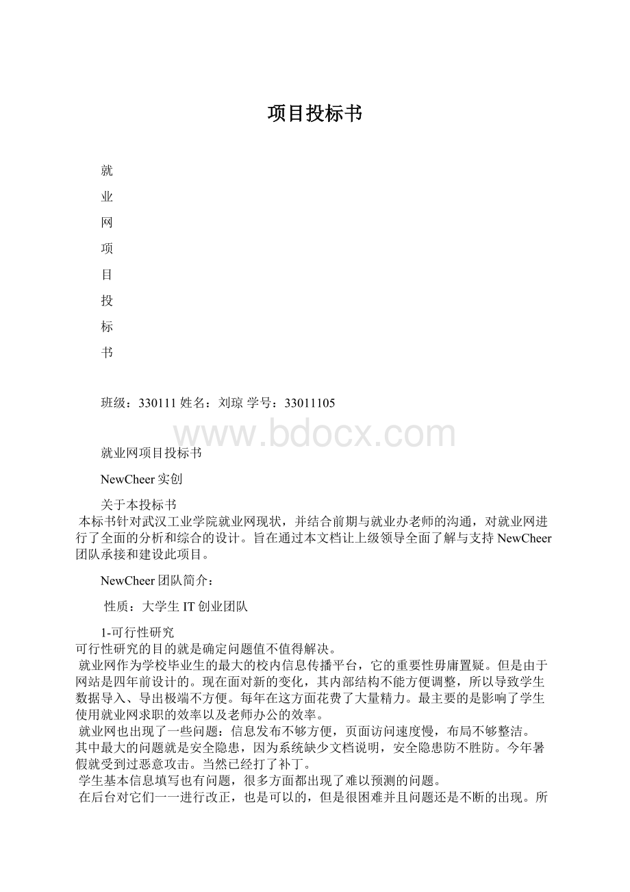 项目投标书Word文档格式.docx