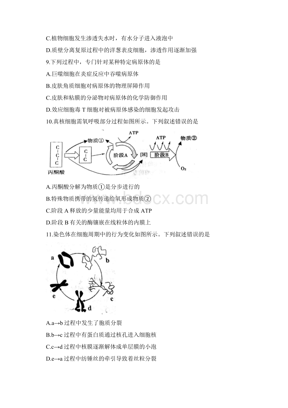 浙江省嘉兴市普通高校招生选考科目教学测试生物试题Word版含答案Word格式.docx_第3页